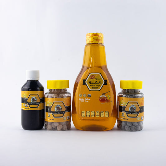 Kit Apiarios Bautista 4
